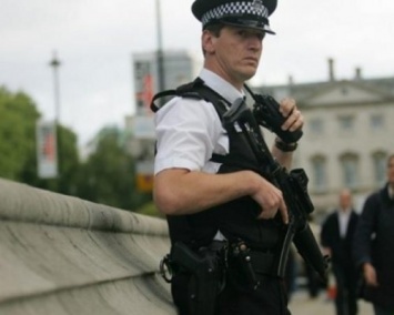 В Лондоне задержан насильник, напавший на жертву в парламенте
