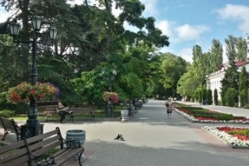 Правительство Севастополя выделило в 1,5 раза больше средств на озеленение и благоустройство города