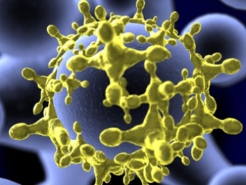Самые опасные вирусы, известные науке