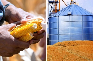 Украина исчерпала почти все квоты ЕС на поставки сельхозпродукции