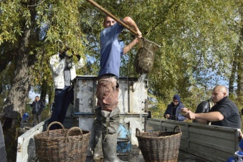 В Горишних Плавнях в Днепр выпустили 125 килограммов щуки (фото)