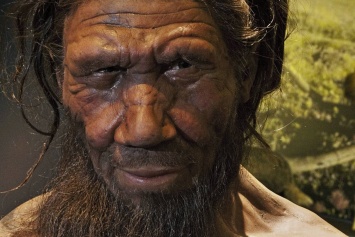 Ученые рассказали о пользе скрещивания с неандертальцами