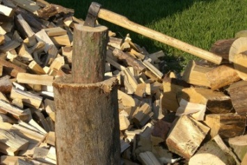 Полтавские лесники сообщают об увеличении спроса на дрова