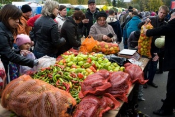 Сегодня в Киеве пройдут сезонные продуктовые ярмарки