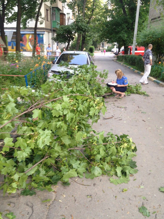 В Харькове на женщину с ребенком упало дерево и едва не убило