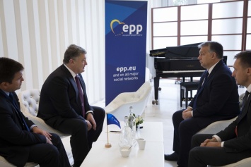 Порошенко и премьер Венгрии Орбан договорились активизировать политический диалог между странами
