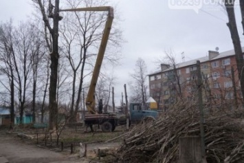 Покровск (Красноармейск) лишится еще 105 деревьев