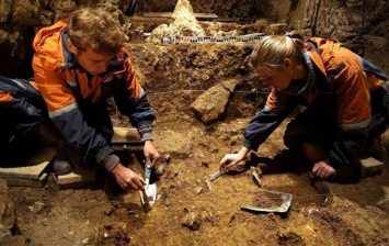 На Алтае обнаружили следы присутствия древнего портного «денисовца»