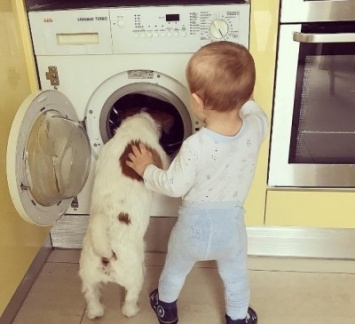 Костюшкин показал как его сын отправил собаку в стиральную машину