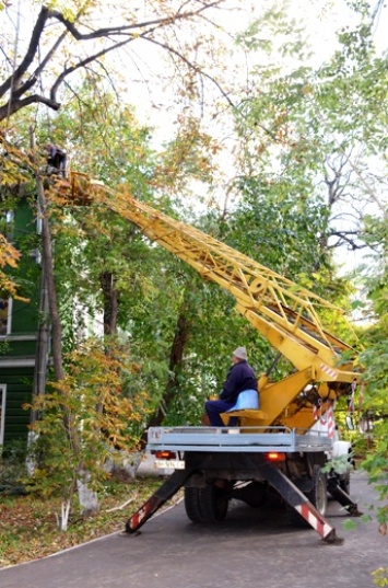 С центральных улиц Одессы вывезены упавшие деревья, работы продолжаются в парках и во дворах многоэтажек