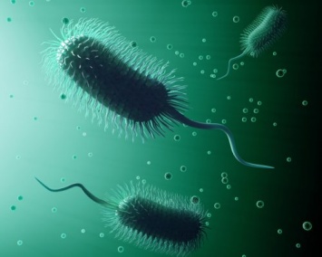 Швейцарские ученые создали бактерии-киборги