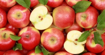 Если Вы думаете, что яблоки слишком просты, то вот 5 идей яблочных смузи, чтобы насладиться ими и их пользой для здоровья