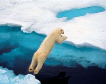 Эксперты ошиблись с предсказаниями об исчезновении арктического льда