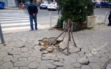 В Одессе провалившийся тротуар прикрыли ветками (фото)