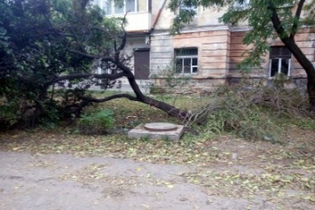 11 дней после урагана: в центре Одессы так и не убирали (ФОТО)