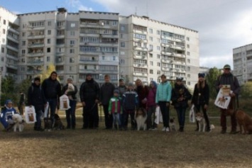 В Харькове открыли новую площадку для выгула собак