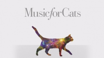 Американский музыкант записал первый в мире альбом для котов