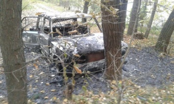 В Запорожье в посадке обнаружили сгоревшие "Жигули"