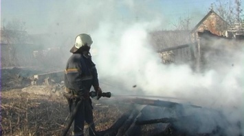 В Луганске произошел пожар в дачном кооперативе (фото)
