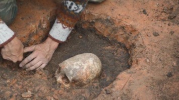 В Петродворцовом районе Петербурга нашли череп времен ВОВ