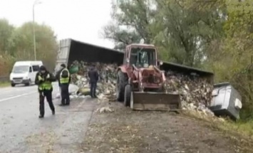 Грузовик с мусором из-под Львова попал в ДТП по дороге в Киев