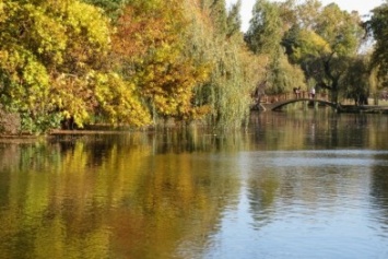 Островок в парке им. Гагарина Симферополя получит статус особо охраняемой природной территории