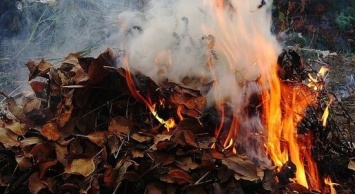 В Сумах ночью горела сухая листва