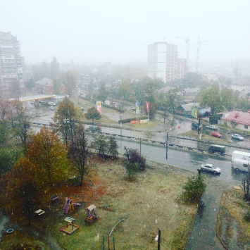 В Житомире выпал первый снег: Фото из соцсетей