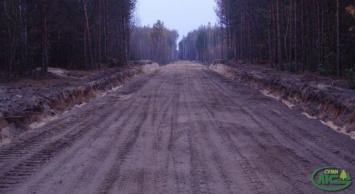 На Сумщине построено 25,4 км лесных дорог (+фото)