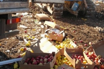 Россельхознадзор уничтожил 120 кг литовских груш, изъятых на симферопольском оптовом рынке
