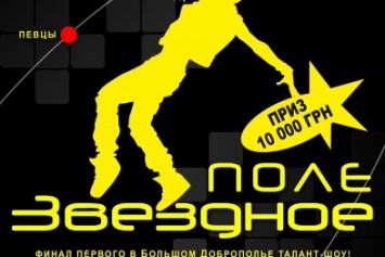 5 ноября в Доброполье состоится финал талант-шоу "Звездное поле" (ВИДЕО)
