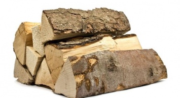 На Сумщине более 800 семей участников АТО обеспечены дровами