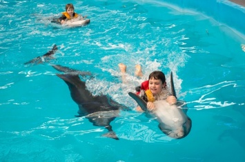 В Крыму могут привлечь дельфинов к лечению детей с аутизмом