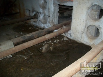 В Саксаганском районе подвал затопило канализационными нечистотами