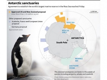 В Антарктиде создадут крупнейший заповедник