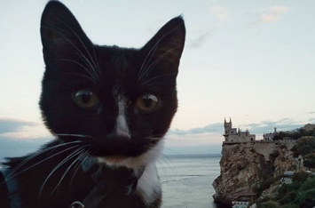 «Потому что так веселее»: тагильчанин и его кот штурмуют горы и сплавляются по рекам