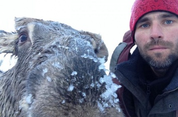 Рыбак спас провалившегося под лед лося в Алтайском крае