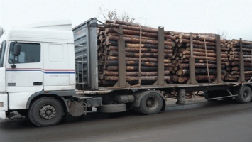 Существует ли незаконная вырубка леса в Луганской области'