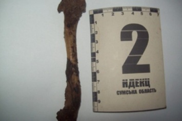 Сотрудники прокуратуры Сумщины обнаружили очередную находку: в лесу нашли человеческие кости (ФОТО)