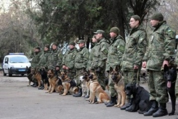 В Мариуполе полиция занялась подготовкой служебных собак (ФОТО)