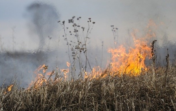 Украинские чиновники скрывают реальные последствия пожаров в ЧАЭС
