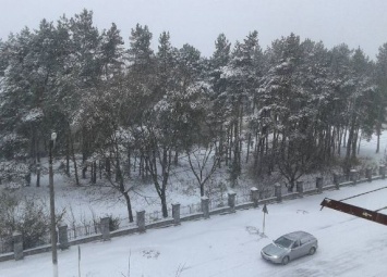 В Украину пришла настоящая зима. В соцсетях делятся "заснеженными" фото