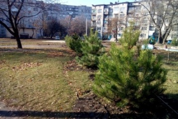 В Доброполье высадят около 2000 деревьев