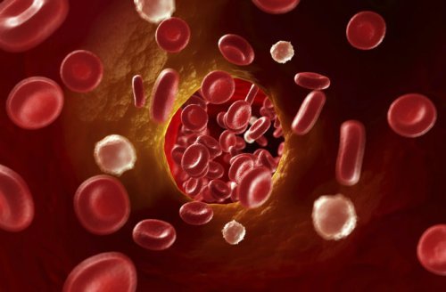 Пробки в закупоренных кровеносных сосудах будут пробивать наноботы-штопоры
