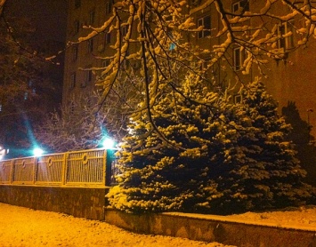 Ночной город Николаев накрыл первый ноябрьский снег