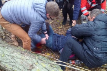 Открытый перелом и ушиб мозга: в Ужгороде на девочку упало дерево