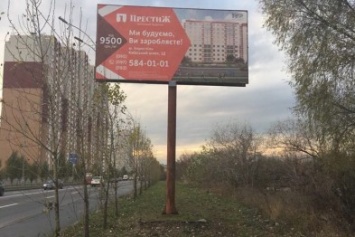 В Киеве вандалы уничтожили 5 молодых тополей (ФОТО)