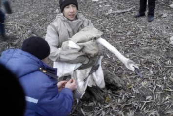 Под Киевом спасли от гибели замерзающего лебедя (ФОТО)