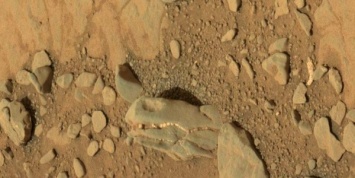 Curiosity сфотографировал череп огромной рептилии на поверхности Марса