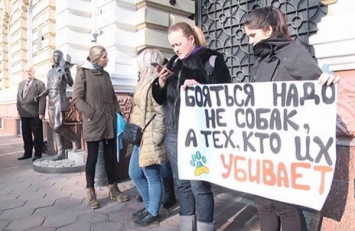 В Одессе активисты вышли против догхантеров (Видео)